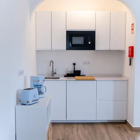 Brisa Do Mar - - T1 With Garden & Ac Near The Sea, Apartment